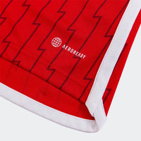 ARSENAL 23/24 HOME JERSEY