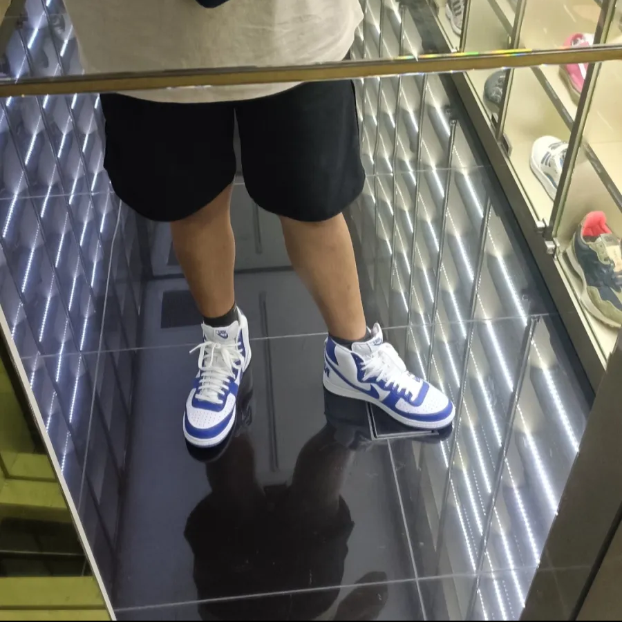Nike Terminator High - Game Royal