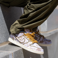 Nike SB Dunk Low Premium - City of Style