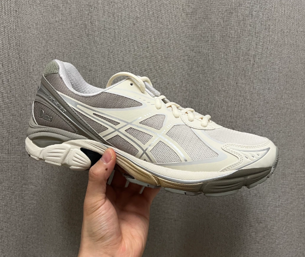 ASICS GT-2160 - DIME Arctic Wolf