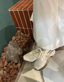 ASICS GT-2160 - DIME Arctic Wolf