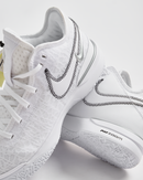 Nike Zoom LeBron NXXT Gen-White Metallic Silver